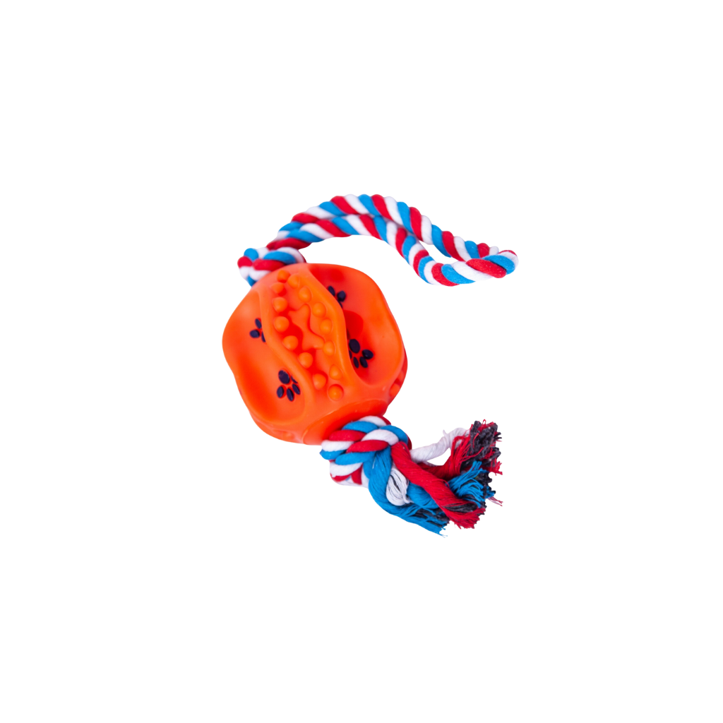 Pelota Grande + Soga