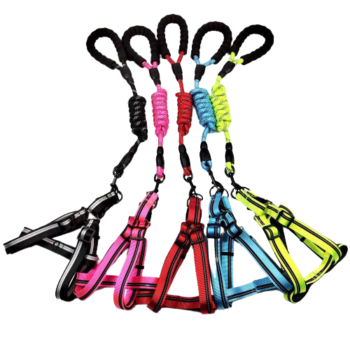 Pechera Arnés Pequeño Reflectivo + Jalador