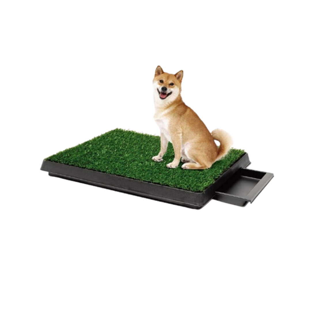 Baño Ecológico Con Bandeja Removible