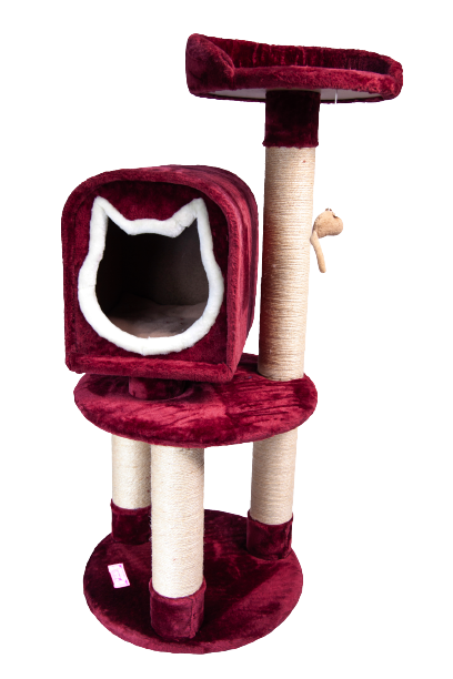 Gimnasio Cueva 3 Pisos