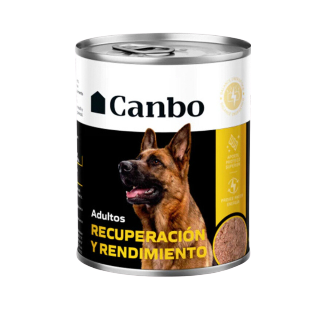 Canbo Paté Adulto Recuperación y Rendimiento 330gr
