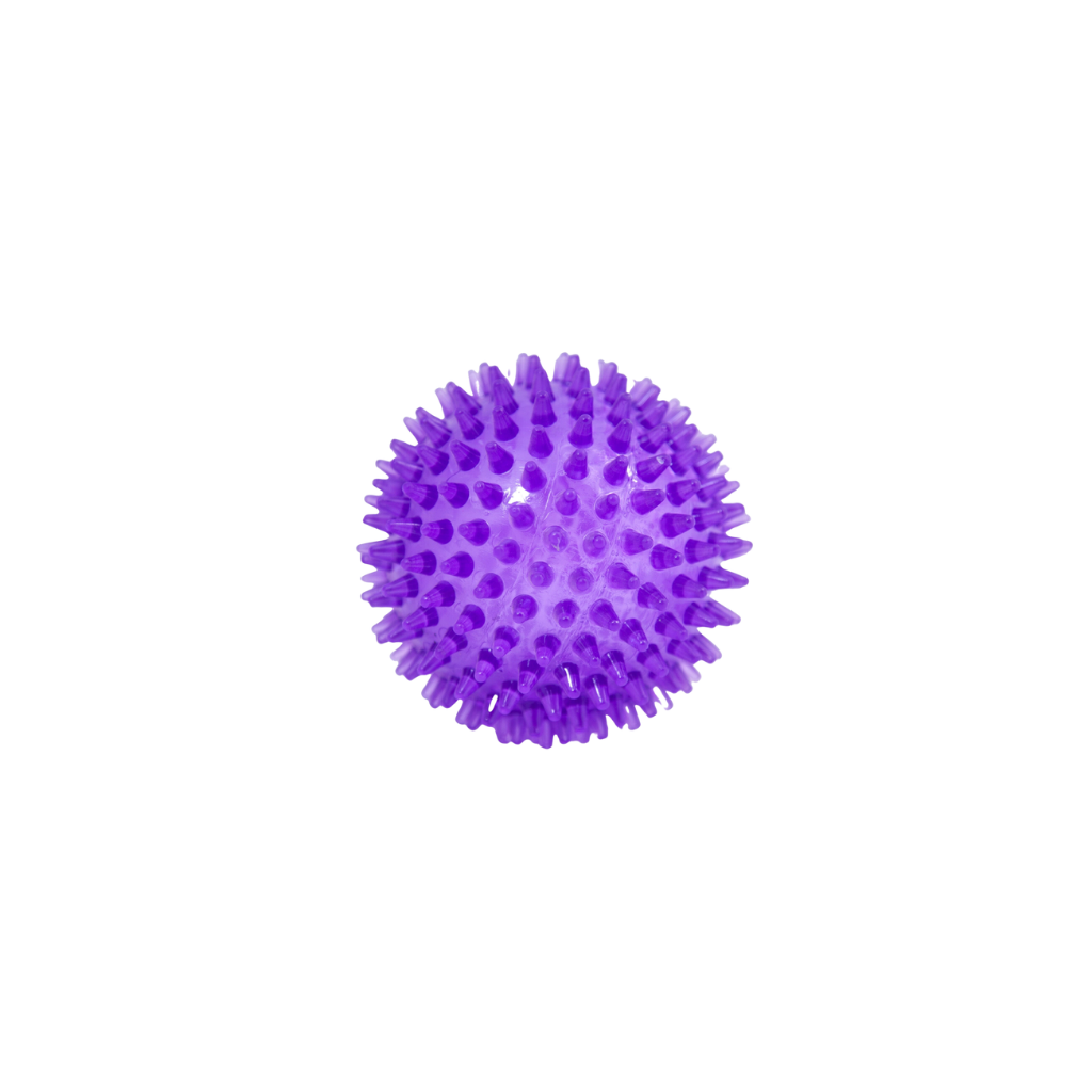 Pelota Púas Grande