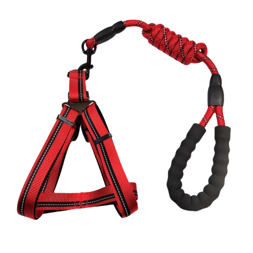 Pechera Arnés Pequeño Reflectivo + Jalador