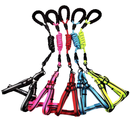 Pechera Arnés Pequeño Reflectivo + Jalador