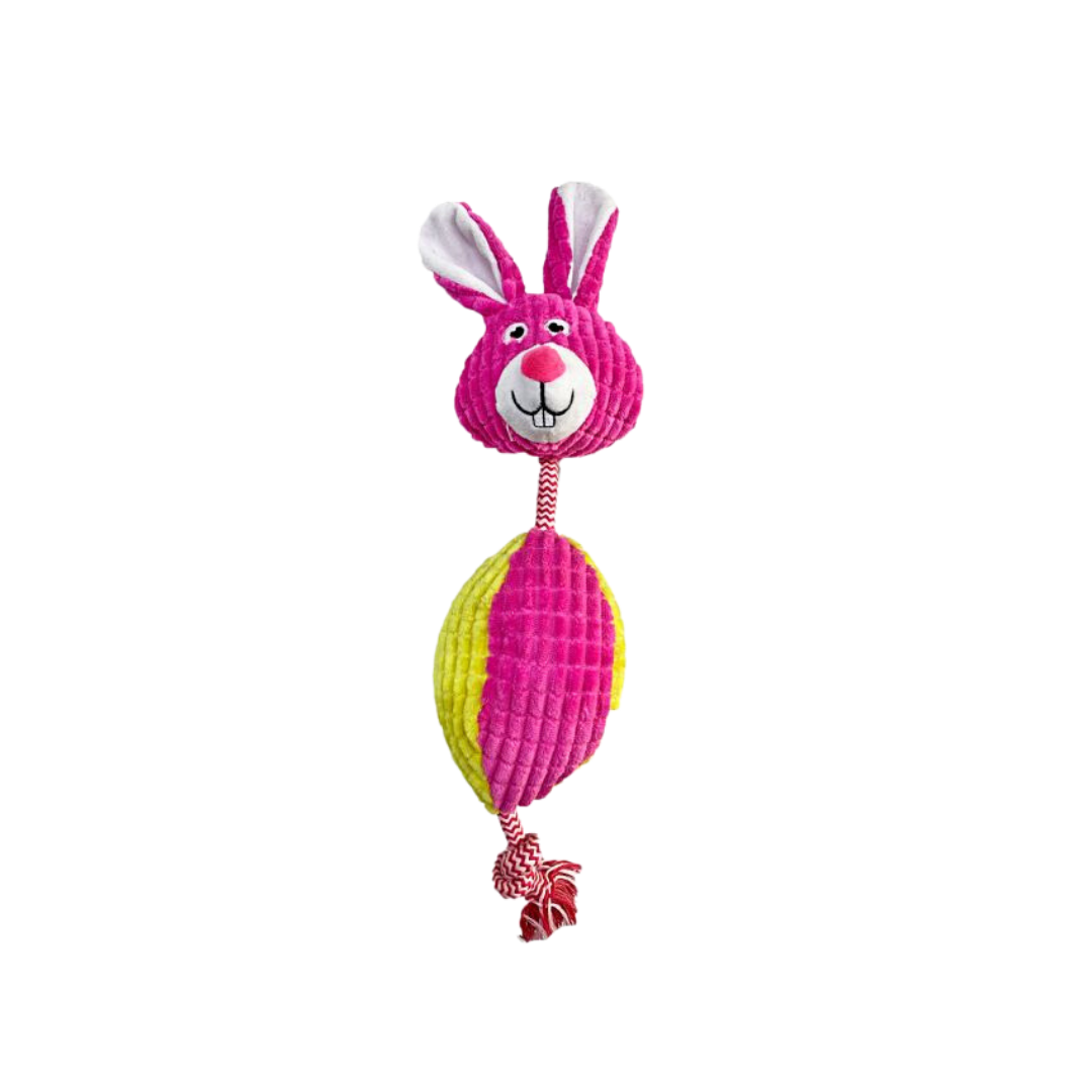 Peluche Sapo Conejo Perro Resistente + Pelota