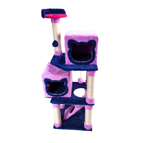 Gimnasio 2 Casas 4 Niveles