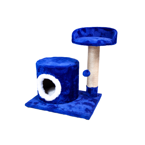 Gimnasio Cueva 2 Niveles