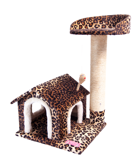 Gimnasio Casa 2 Niveles