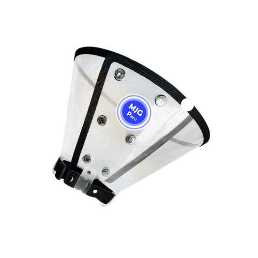 Collar Isabelino Con Broches Regulable